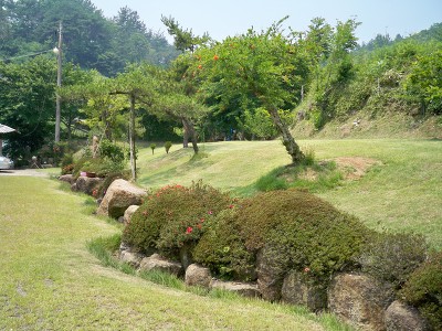 잔디밭 이미지