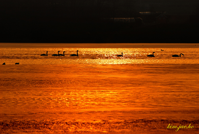 어린왕자의들꽃사랑마을