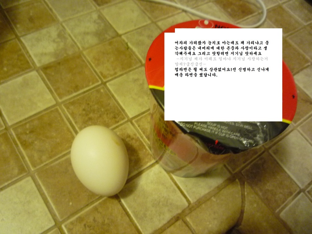 컵라면 진짜맛있고 품격있게 먹는방법 일명 달걀컵라면 | 인스티즈