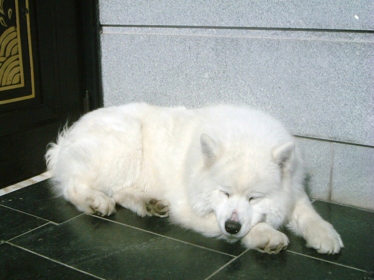 한비 이미지