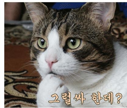 메인시스템 이미지