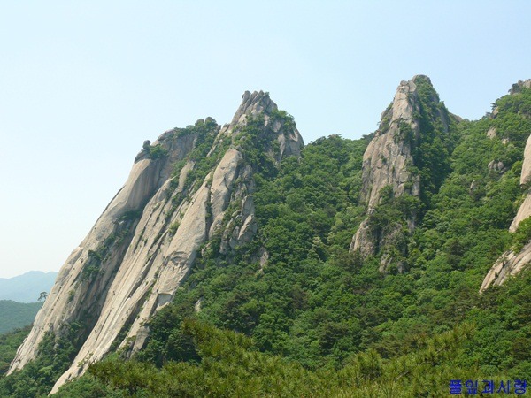 무릉도원 이미지