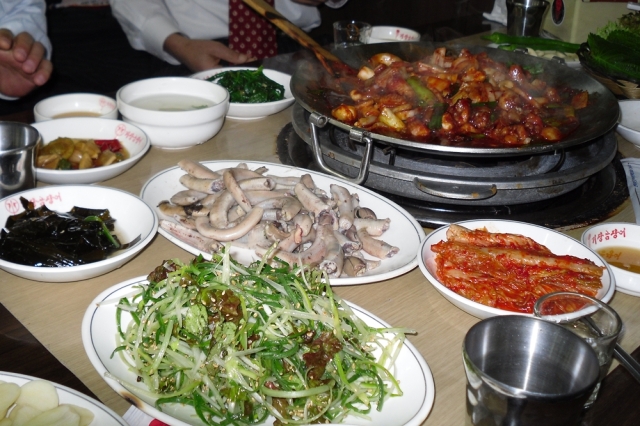 기장꼼장어 이미지