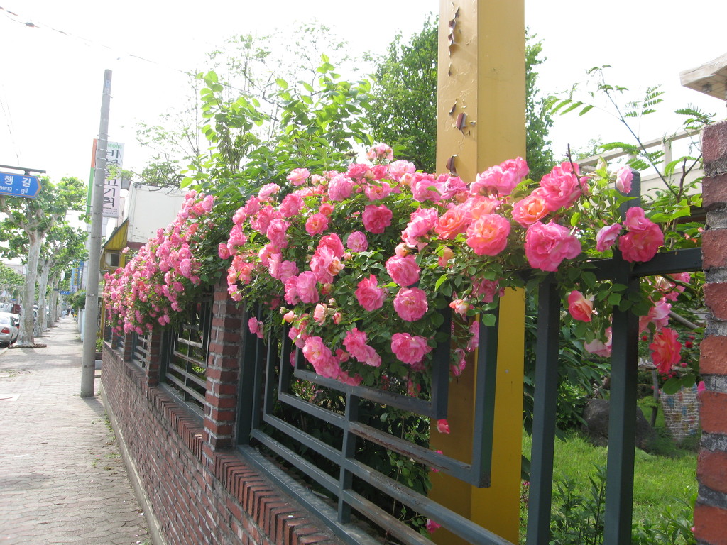 1176D2174A12050A1F19D8