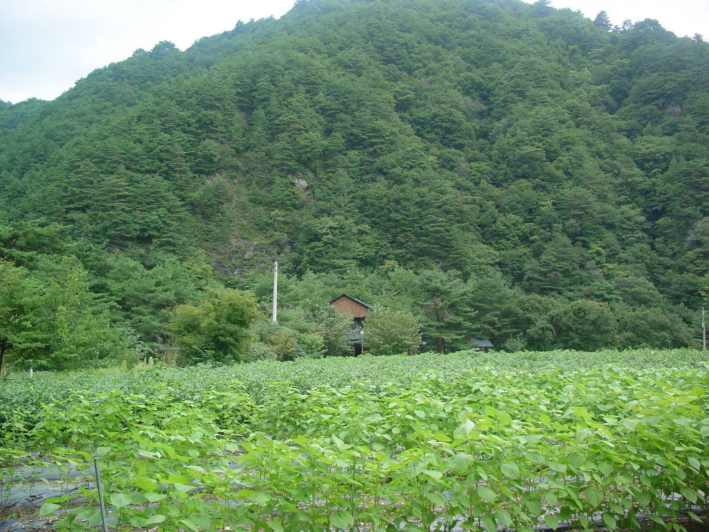 삼둔 이미지