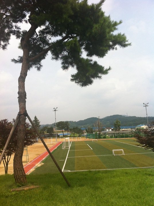우성중학교 이미지