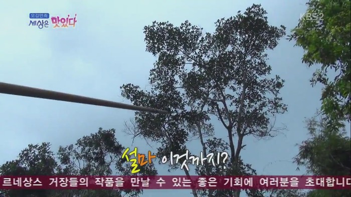 [세상은맛있다] 원주민 마을 최고 명사수보다 바람총 더 잘 쏘는 김재덕 bbbbbbbb | 인스티즈