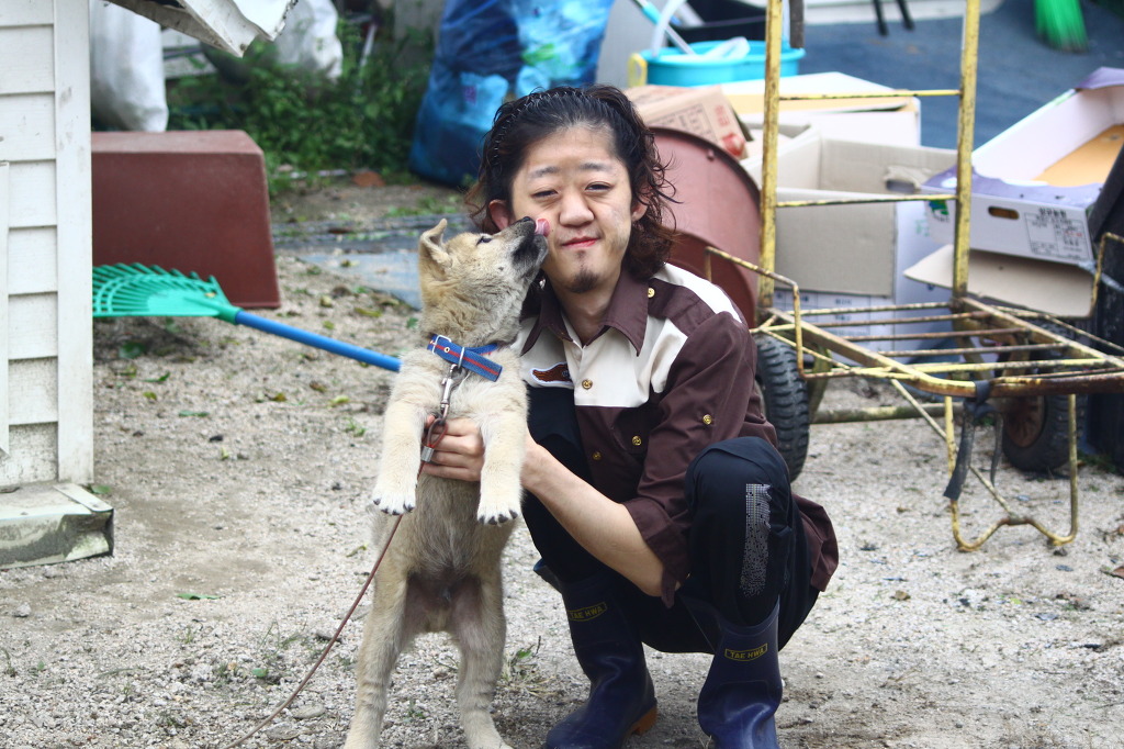 정바우 이미지
