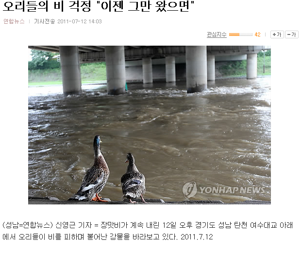 돈이랑오리 이미지
