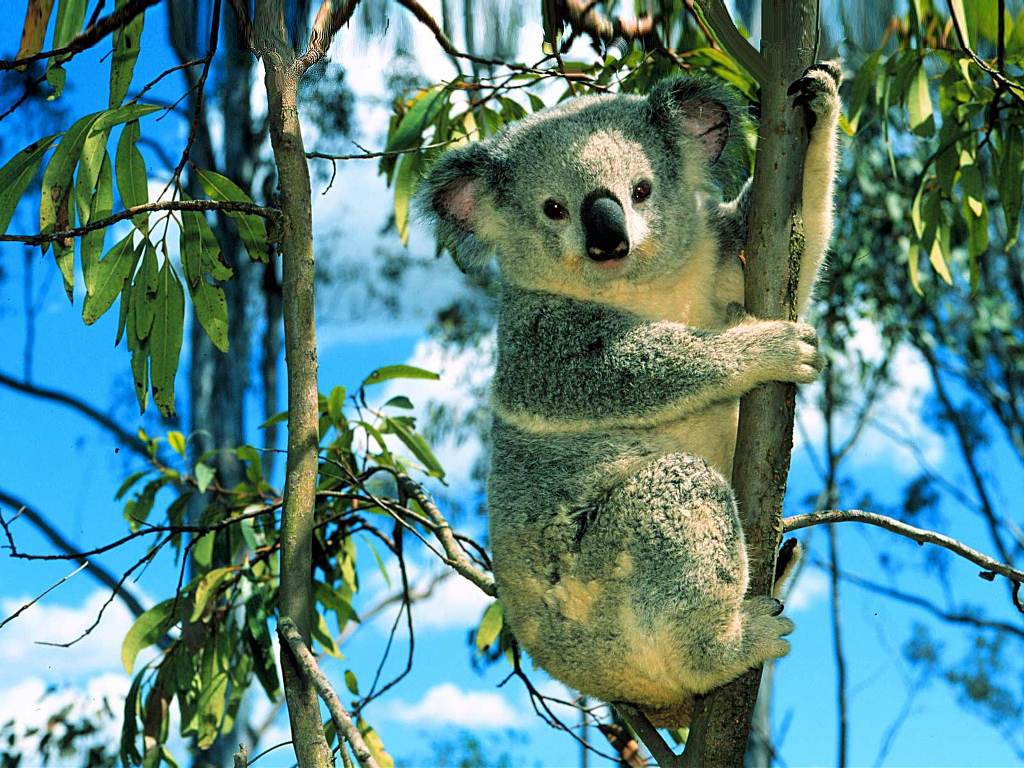 사진 좋아하세요? ^^ | 인스티즈