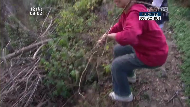 [인간극장] 우리 엄마는 할머니 1부 (감자 주의보 발령!!!) | 인스티즈
