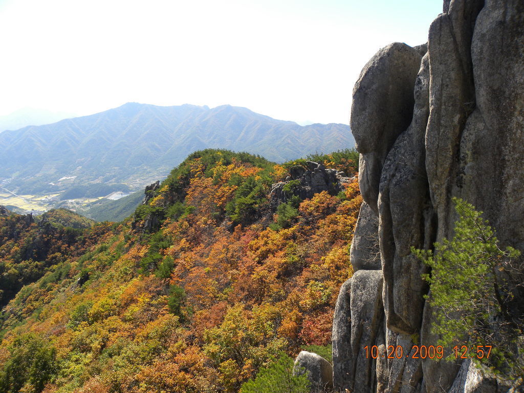 남산 이미지