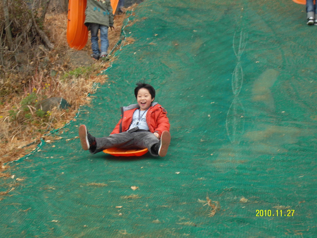 임실치즈피자 이미지