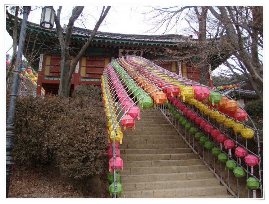 바다조개구이 이미지