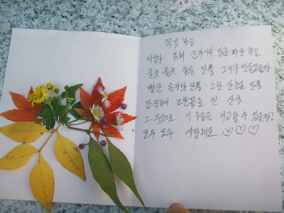 쪽빛하늘 이미지