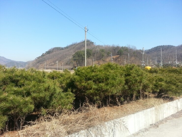 가온조경 이미지