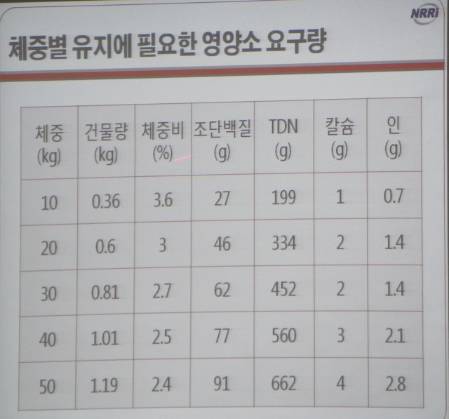 광주흑염소 이미지