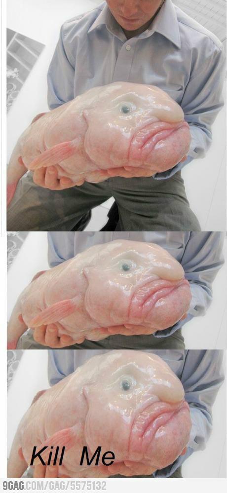 온늘 이미지