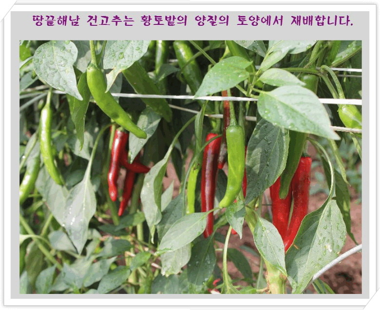 땅끝농업협동조합 이미지