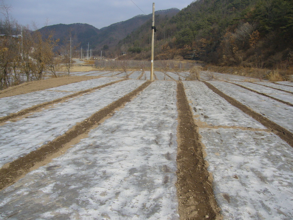 안동주택관리 이미지