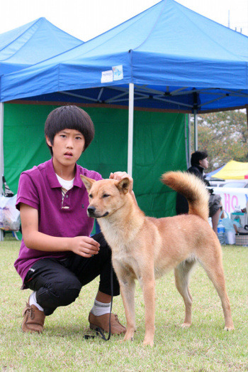 정미 이미지