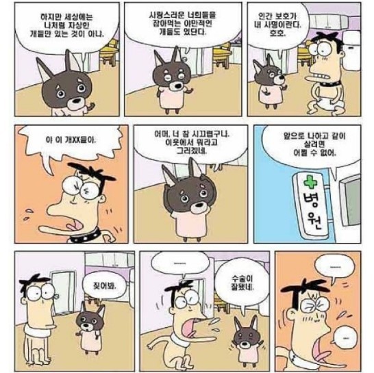 야 이개xx들아 | 인스티즈