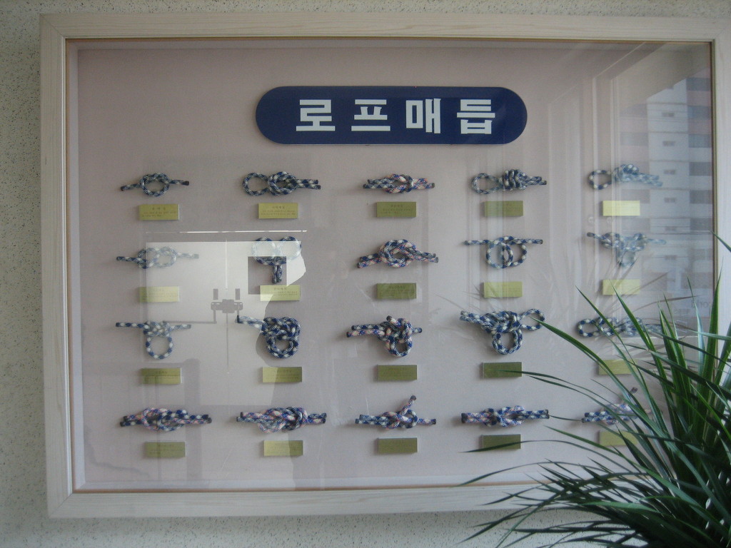대전서부소방서 이미지