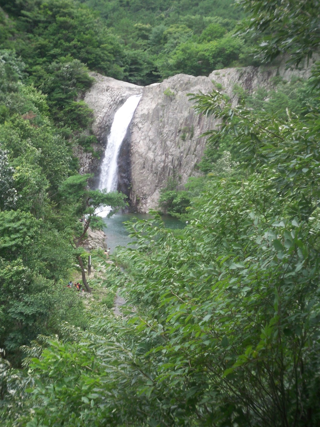 삼보식품 이미지