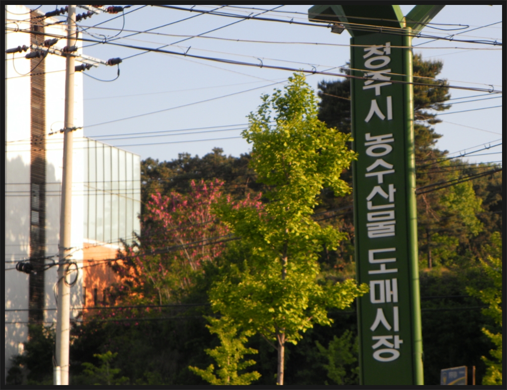 꽃보다농수산 이미지