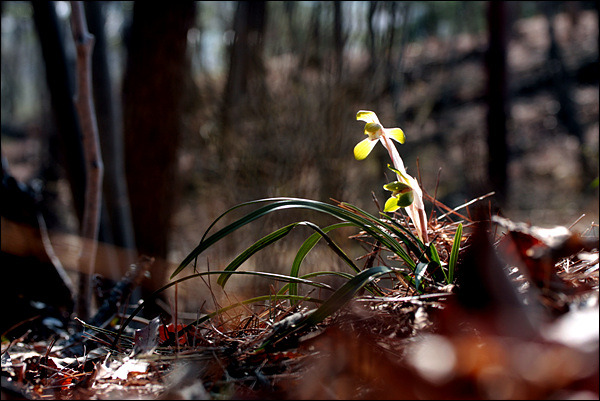 153EB01B49CC71708EB3F8