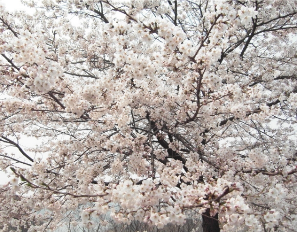 영진화성(주) 이미지