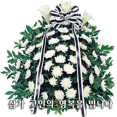 섬머힐 이미지