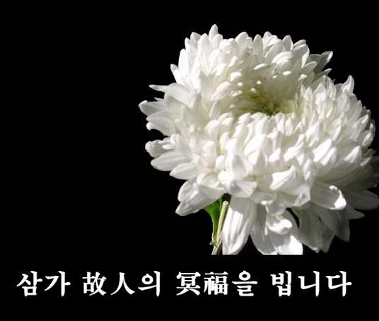 다시초등학교 이미지