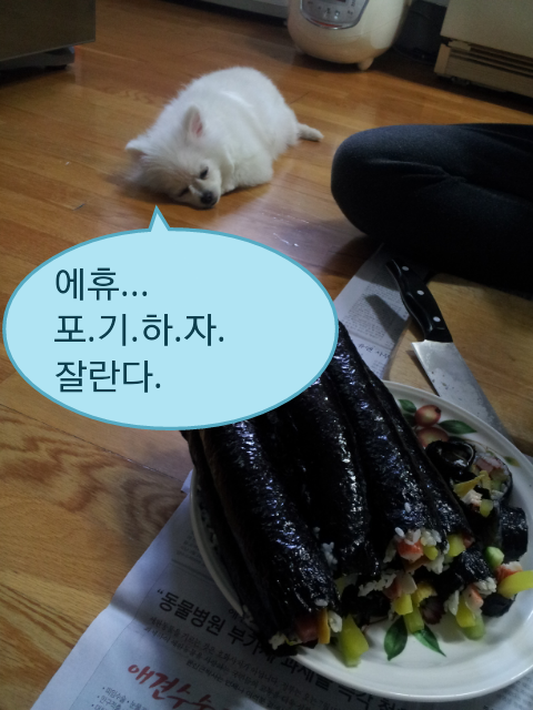 포리김밥 이미지