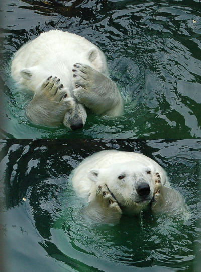 까꿍 이미지