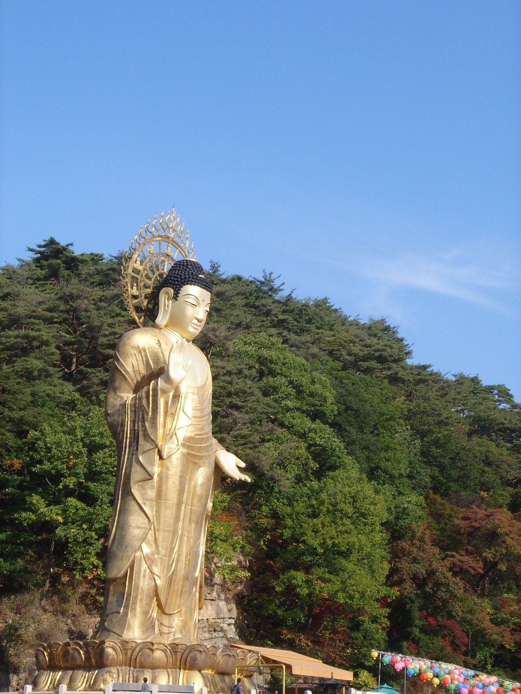 자비 이미지