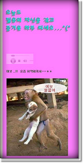 원상회 이미지