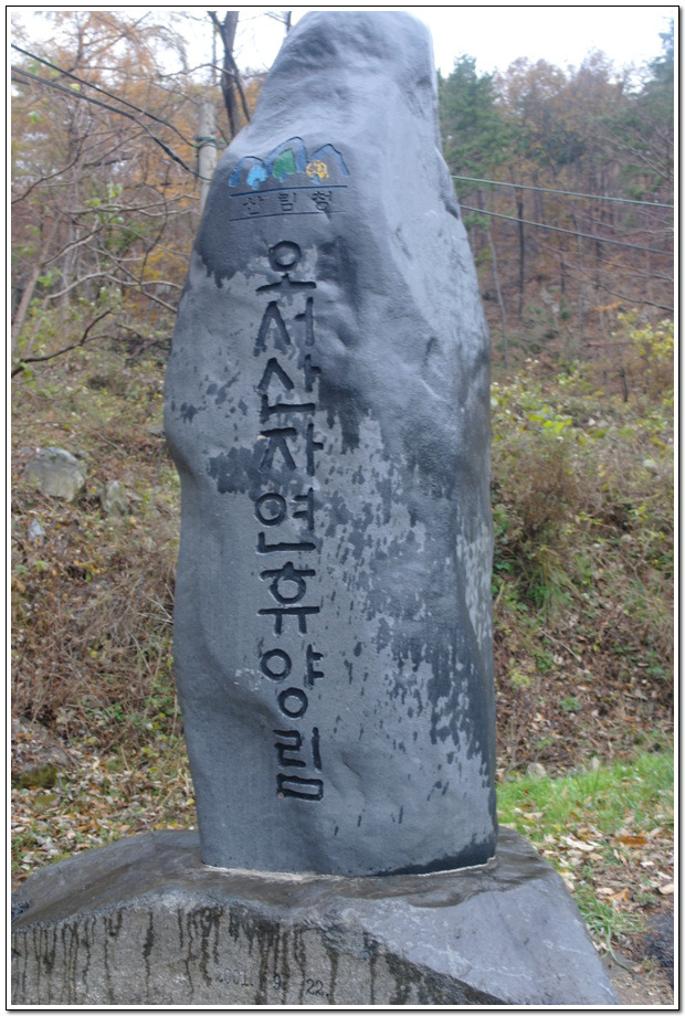 보령토굴젓갈 이미지