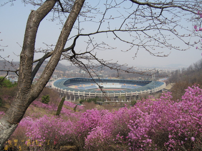 진달래김밥 이미지