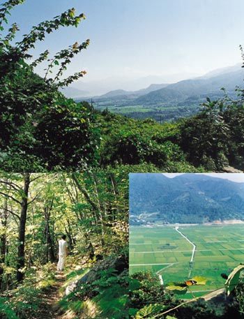 삼거리슈퍼식당 이미지