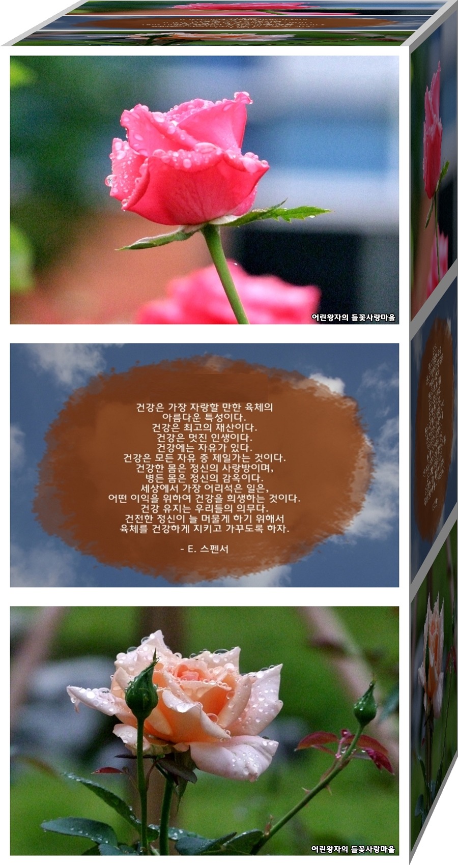 건강최고 이미지