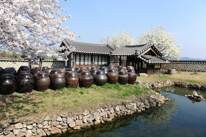 일이사 이미지