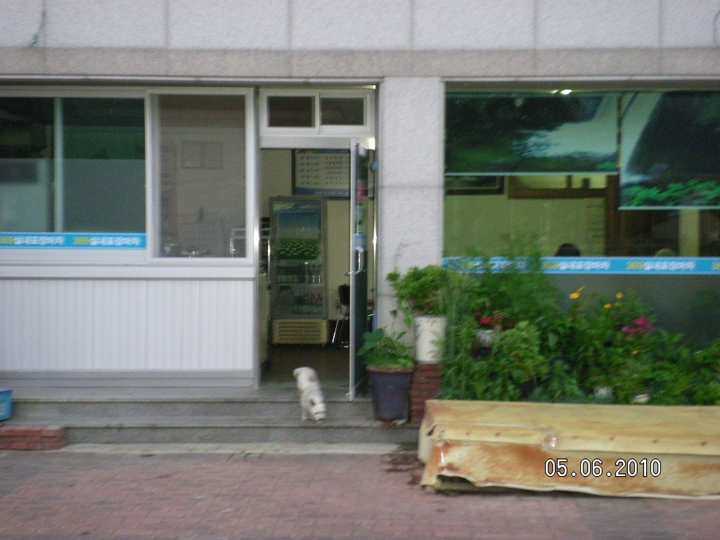 369포장마차 이미지