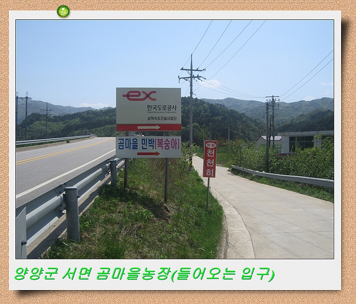 곰마을민박 이미지