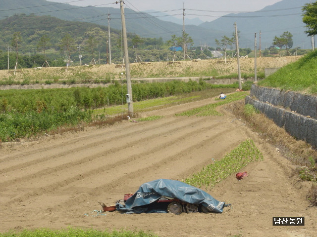 남산농장 이미지