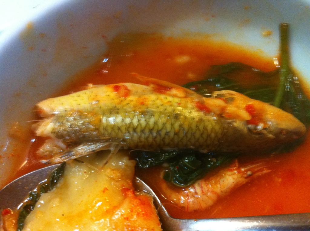 동강민물매운탕 이미지