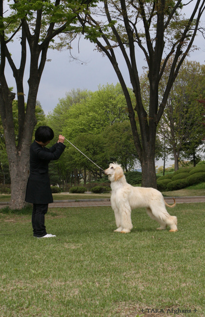 디디 이미지