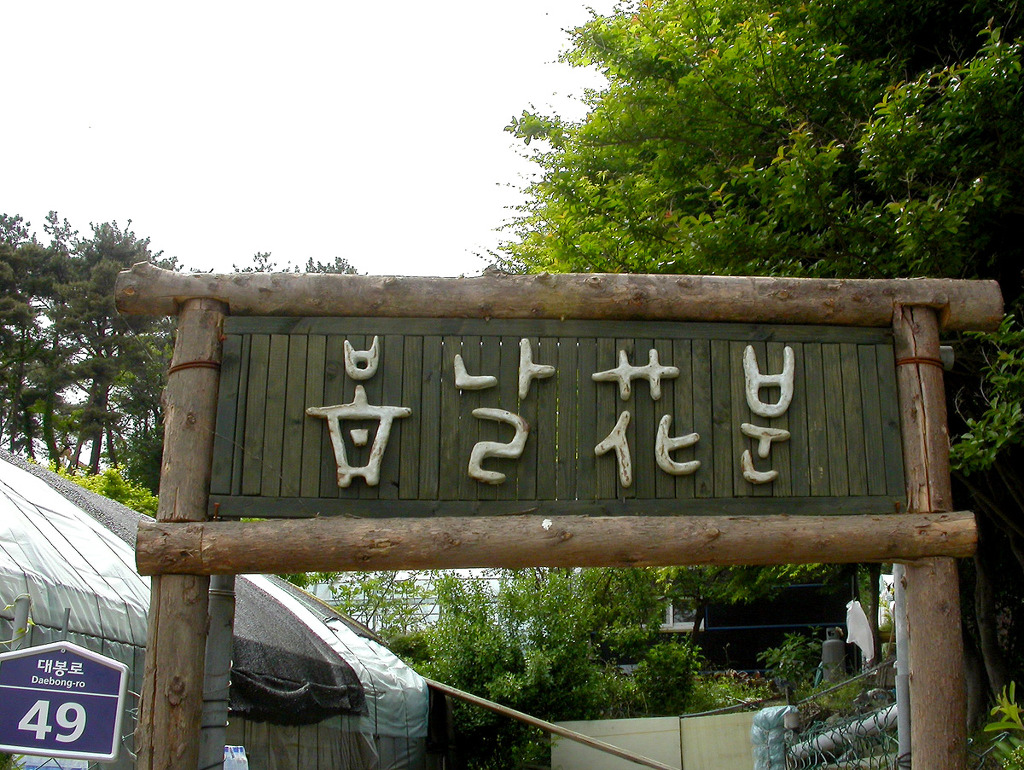 지나는길에 이미지