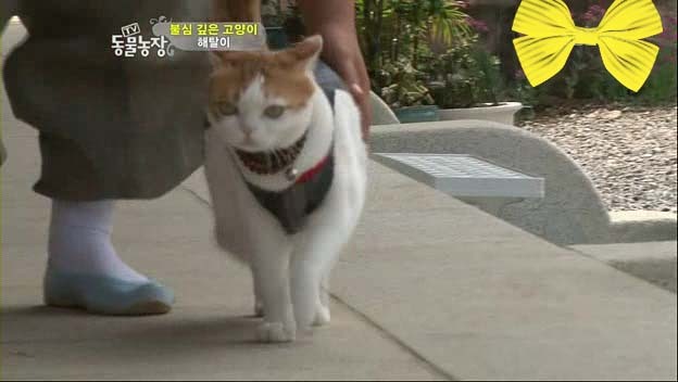상귀농장 이미지