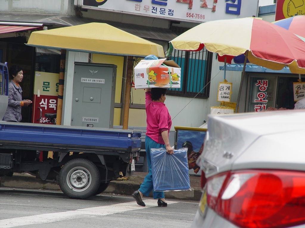 완도스케치 이미지